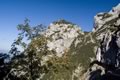 Schwarzenkopf