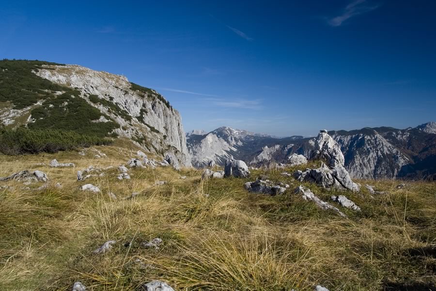 Hochblaser