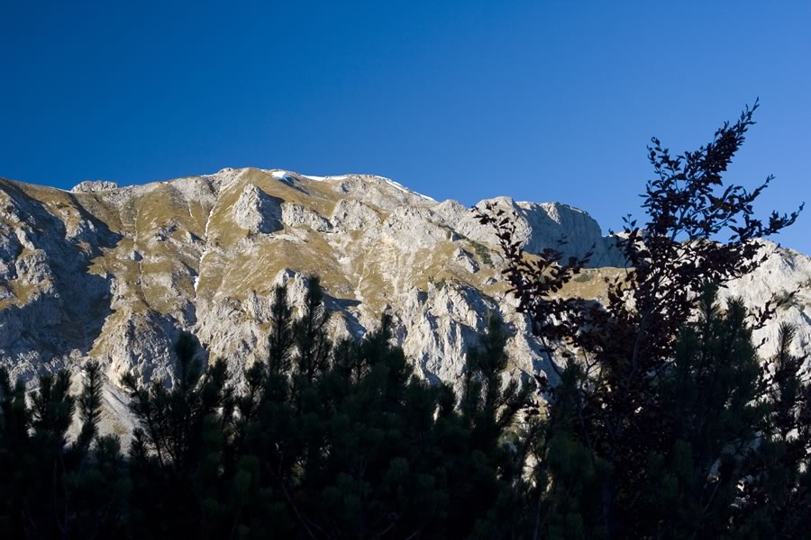 Spielkogel