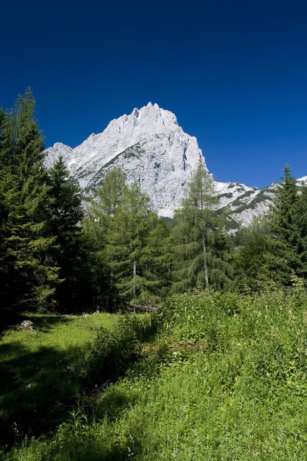 Spitzmauer