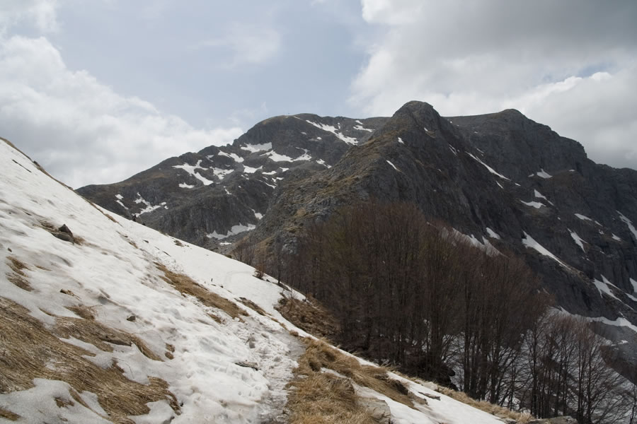 Pania della Croce