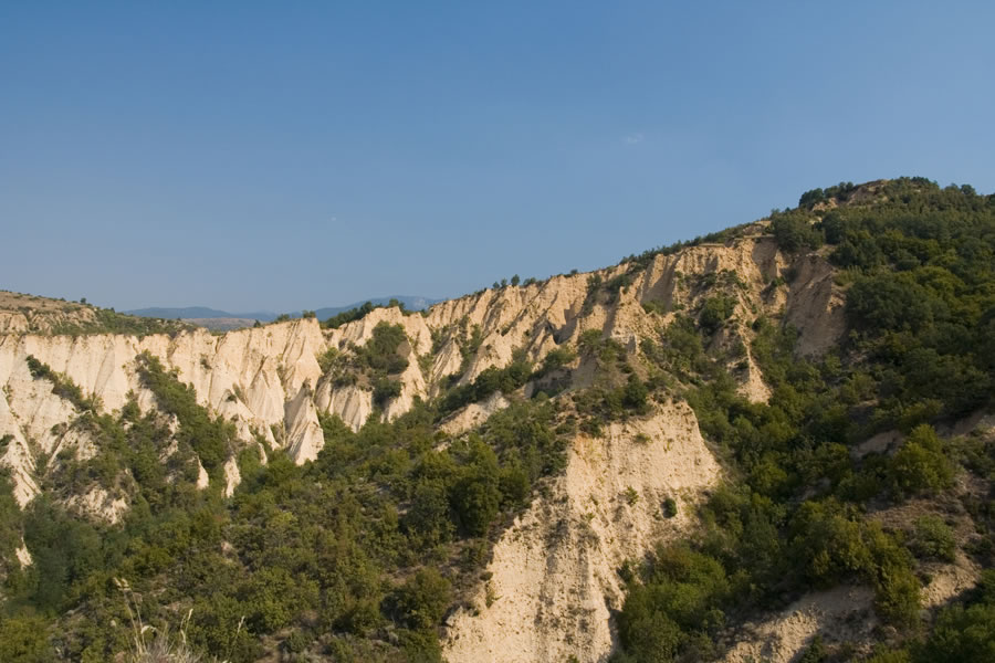 Melnik