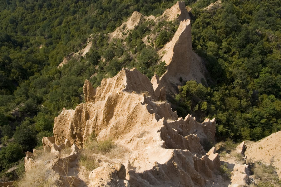 Melnik