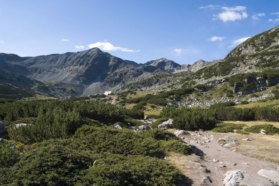 Ireček in Musala