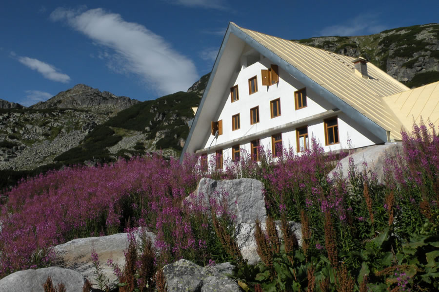 Koča Musala