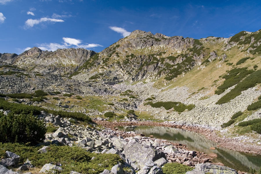 Ireček