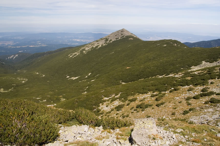 Šatar