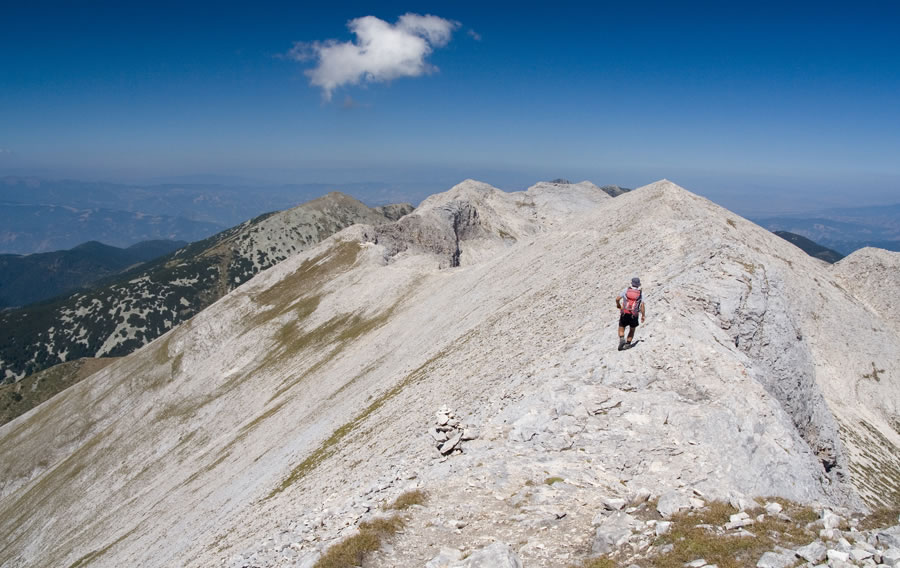 Prečenje