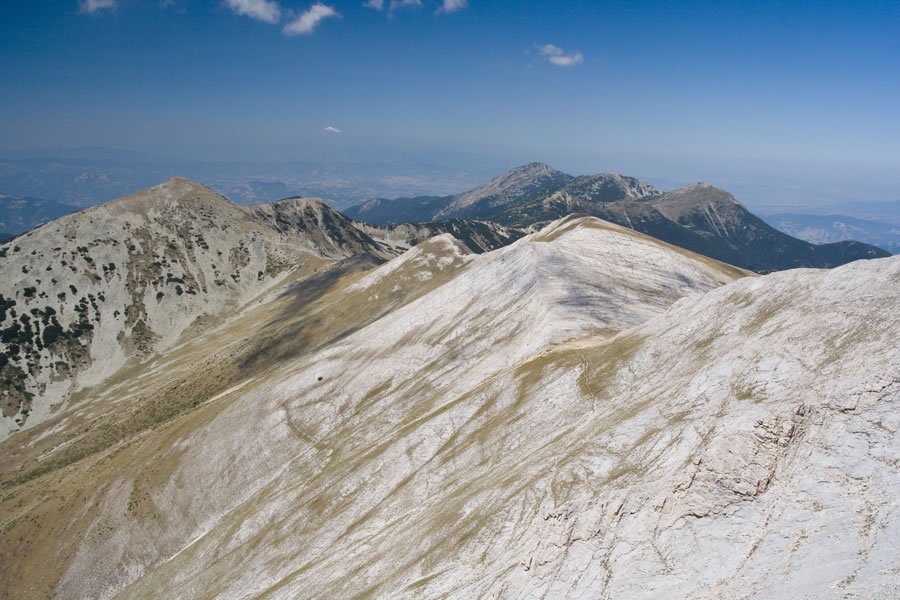 Albutin, Kamenica