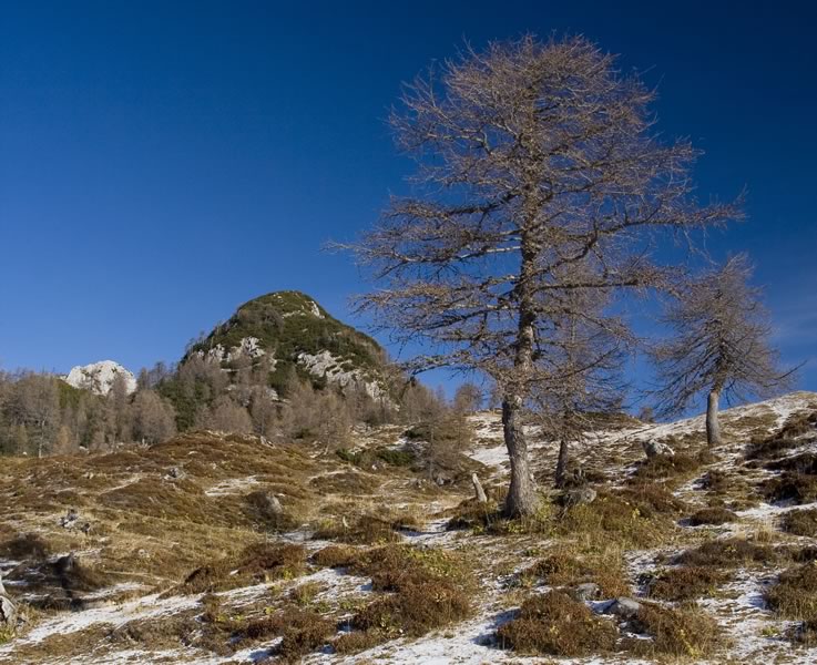 Krsteniški Stog