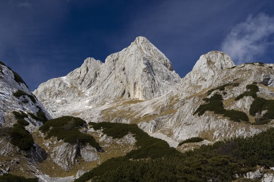 Škednjovec
