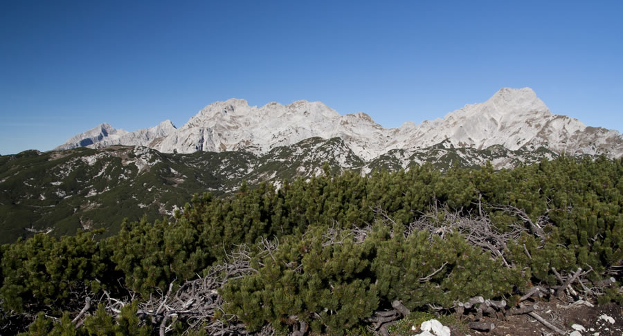 Kamniško Savinjske Alpe