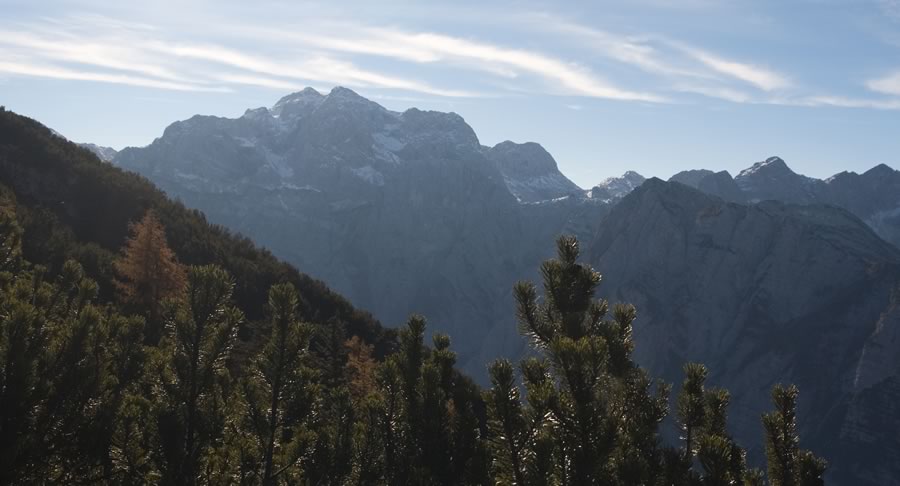Kanjavec