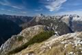 Bavški Grintavec, Pelci