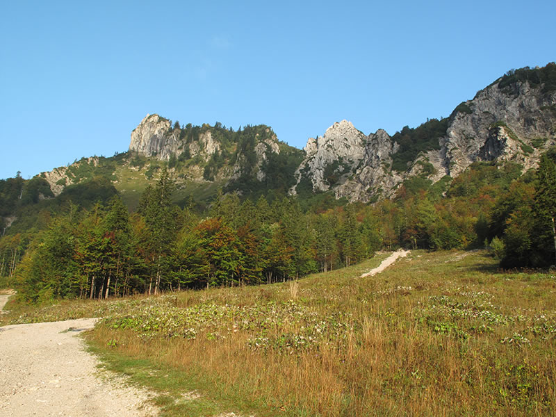 Proti Zelenici