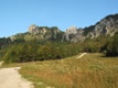 Proti Zelenici