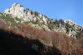 Ljubeljščica
