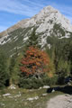 Vrtača