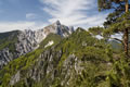 Tolsta Košuta in Kališnikovo poldne