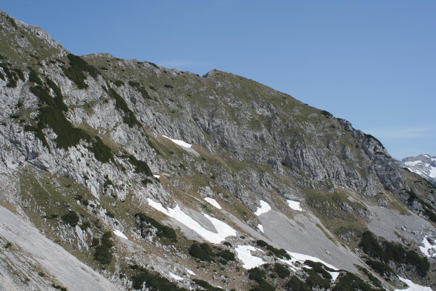 Kalška gora