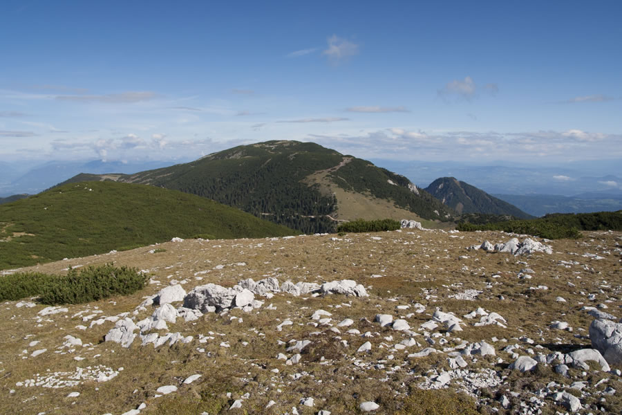 Struška