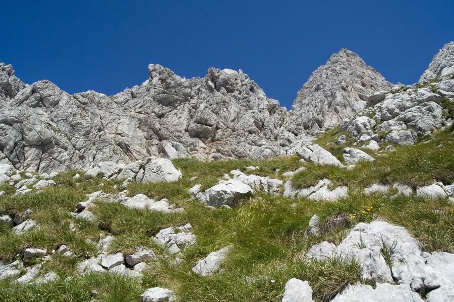 V Dolcih