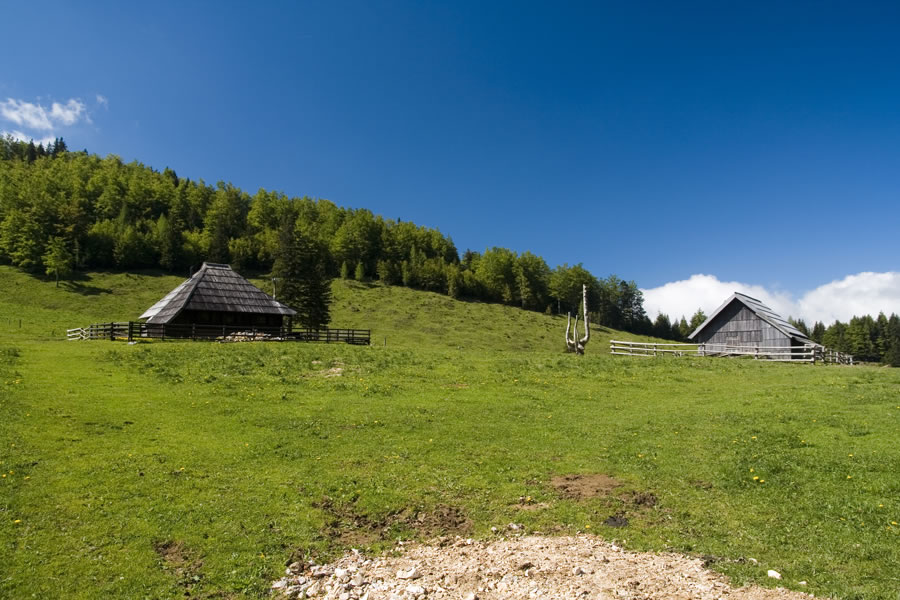 Planina Dol