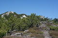 Kresišče