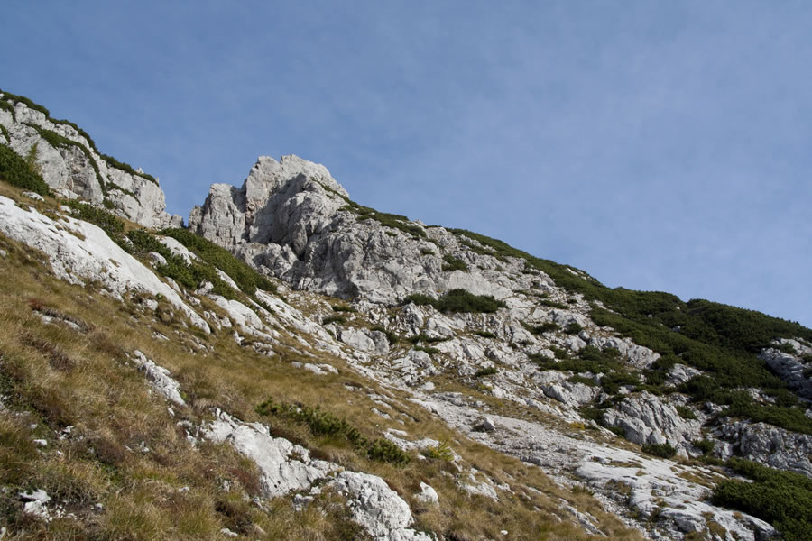 Krofička