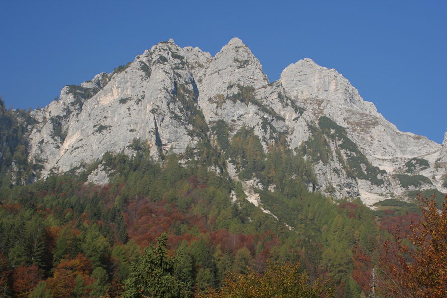 Škrnatarica