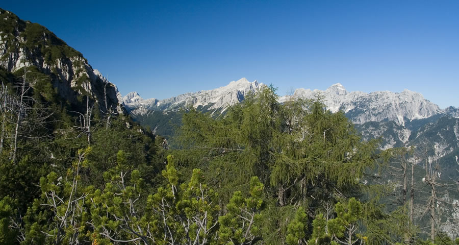 Bavški Grintavec, Mojstrovke, Jalovec, Mangart, Ponce