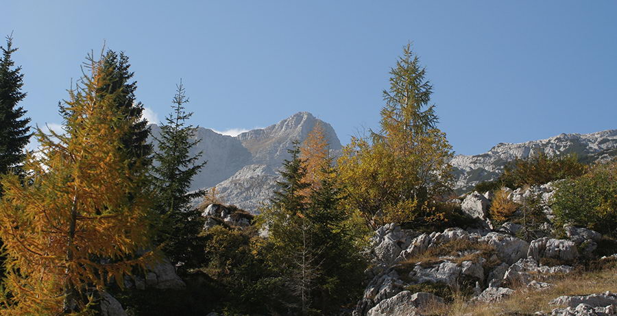 Krn