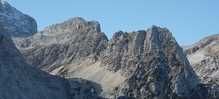 Vrbanove špice