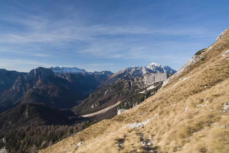 Jerebica, Kanin, Viš