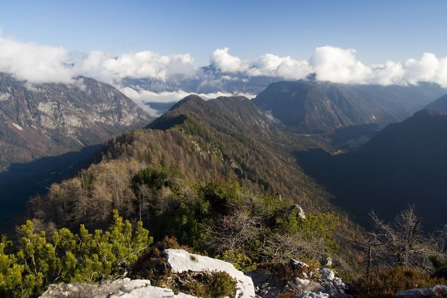 Greben proti Požaru