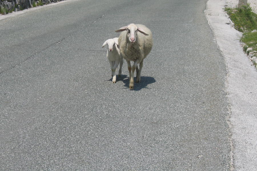 Vršič