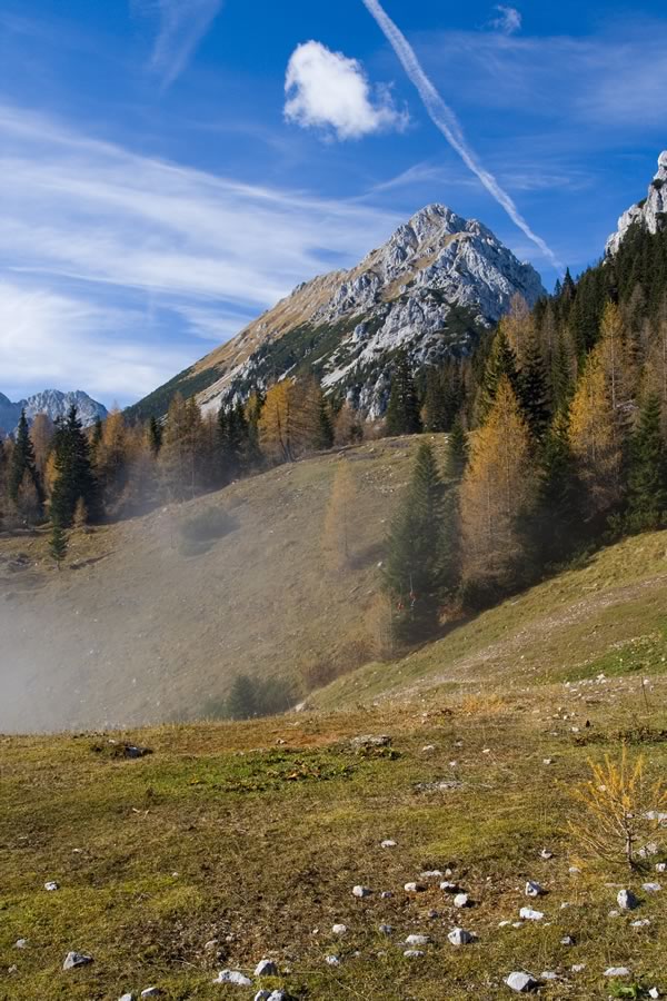 Vrtača