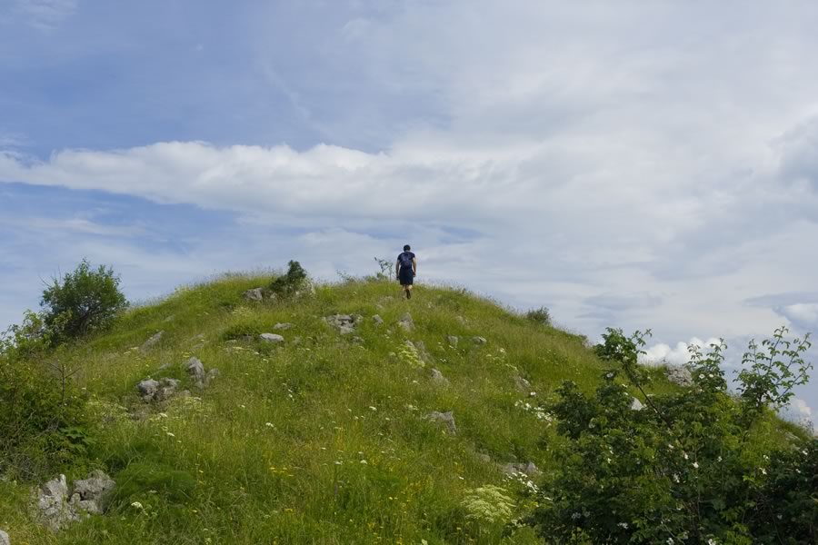 Proti vrhu