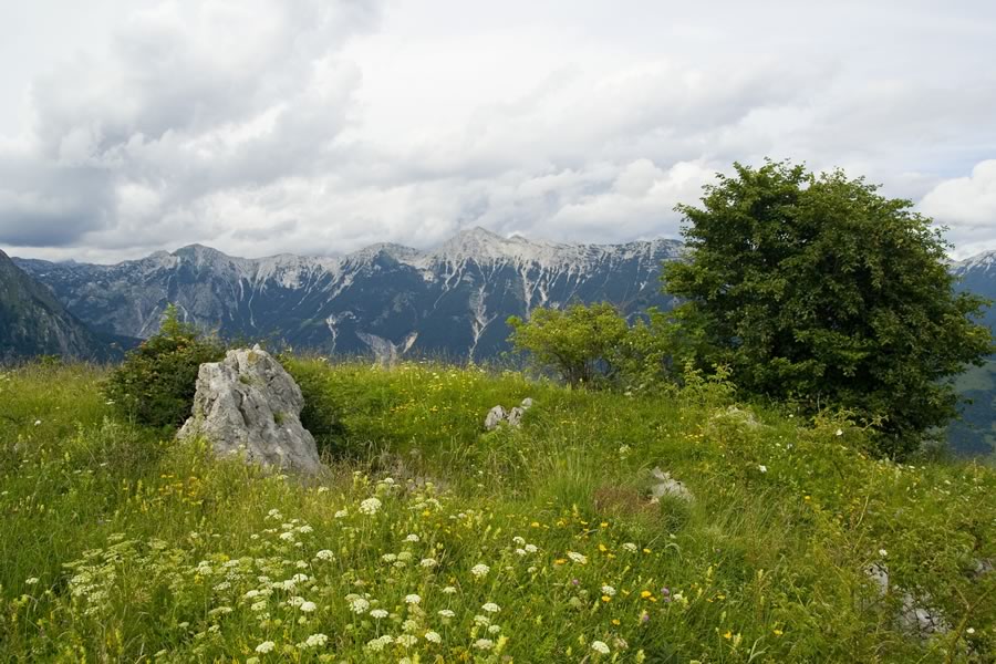 Spodnje Bohinjske (Tolminske) gore - zahodni del