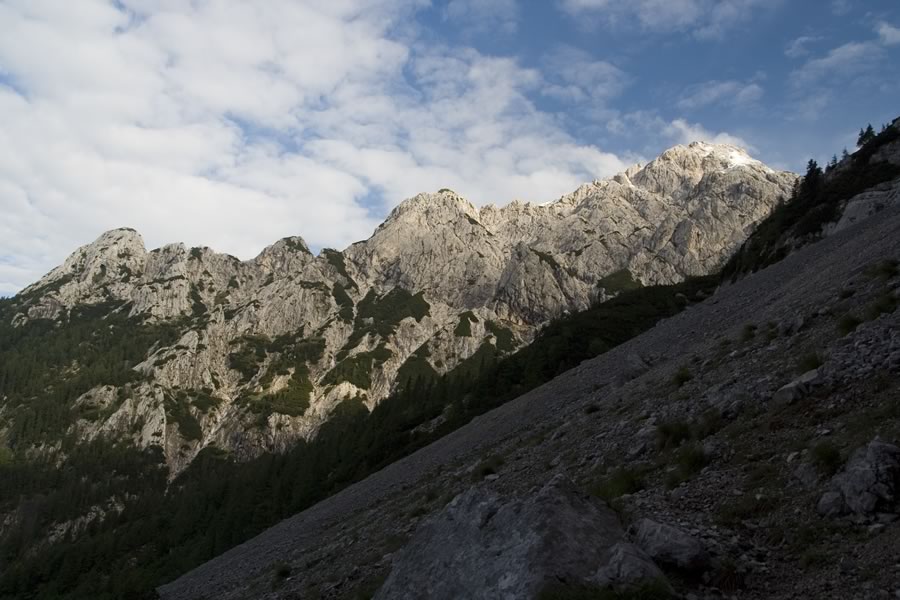 Zeleniške špice