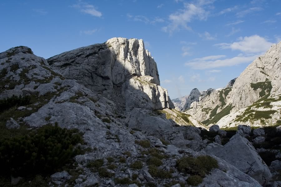 Lepa glava