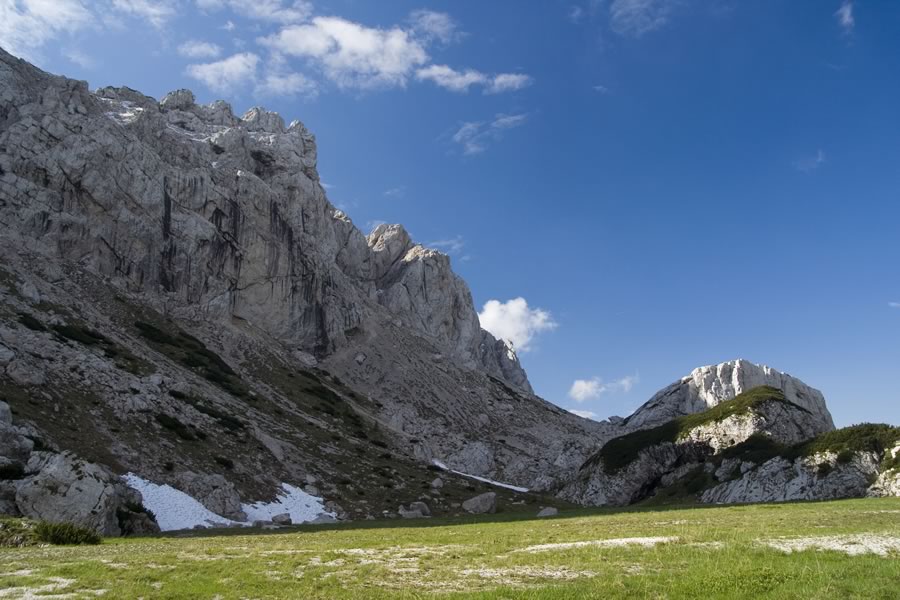 Vežica