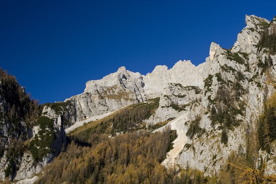 Rokavi