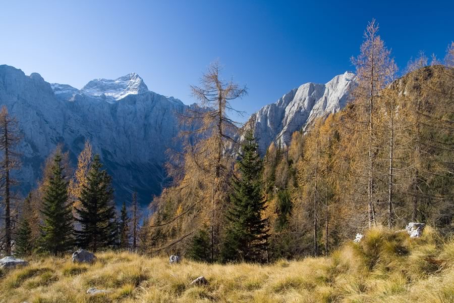 Triglav in Stenar