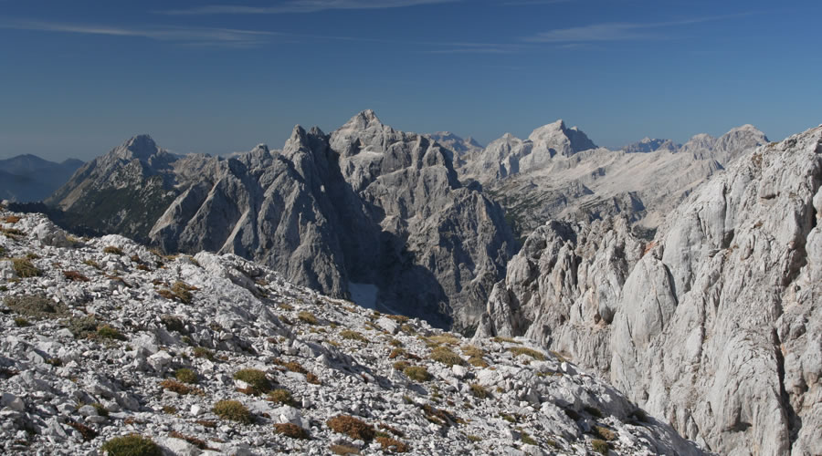 Razgledi