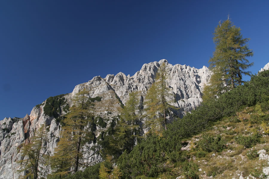 Lipnica