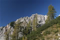 Lipnica