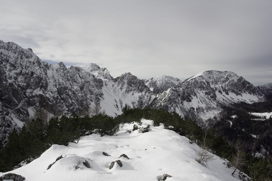 Kozjak