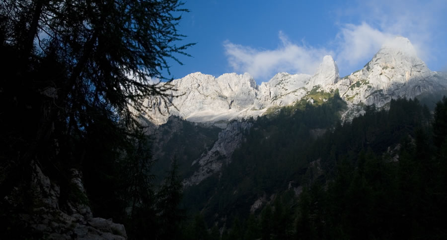 Vernar, Kurica