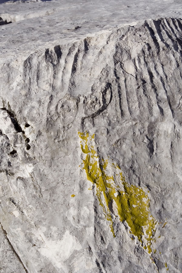 Rumena markacija